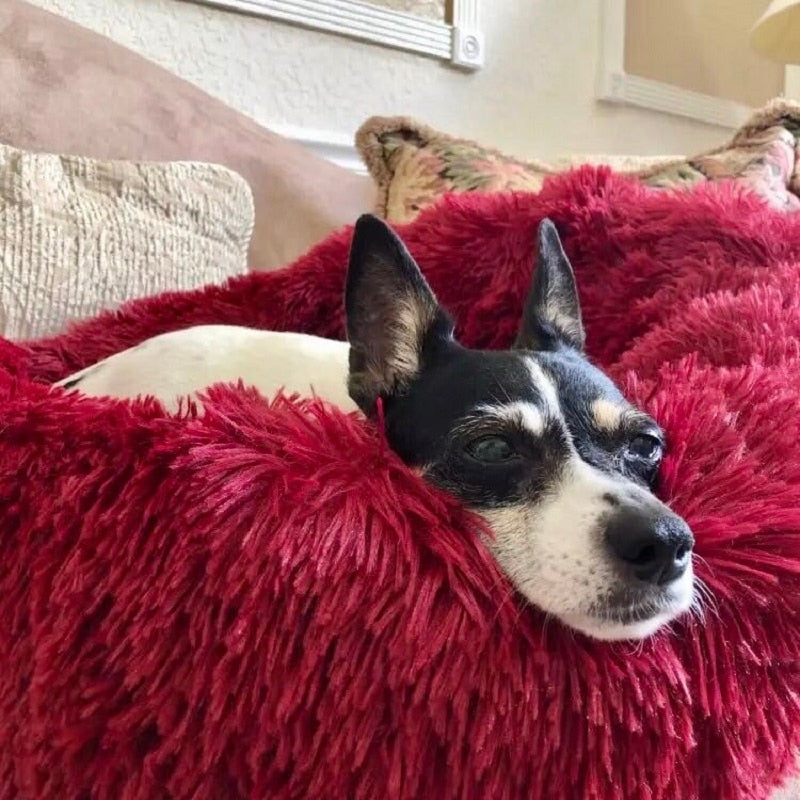 #1 Anxiety Reducing Dog Bed - Made of Soft Warm Fabric and Long Plush