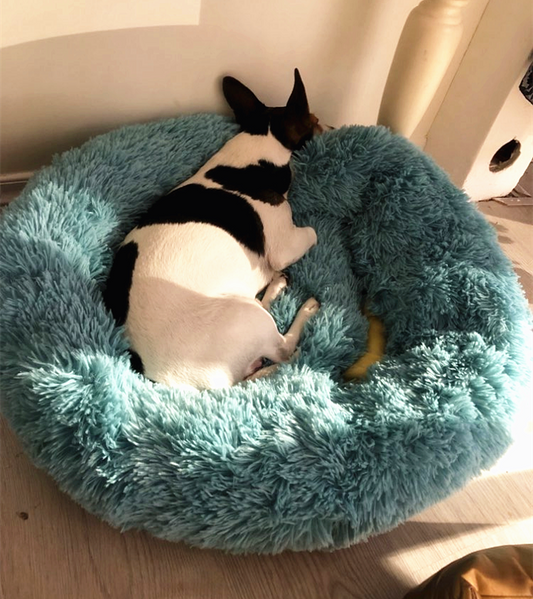 #1 Anxiety Reducing Dog Bed - Made of Soft Warm Fabric and Long Plush