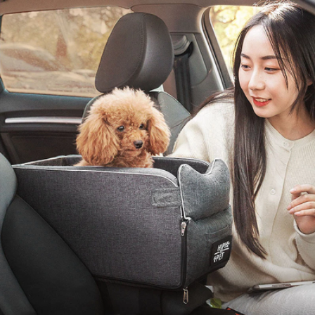 Travel Time Car Seat - Armrest Booster Seat ™