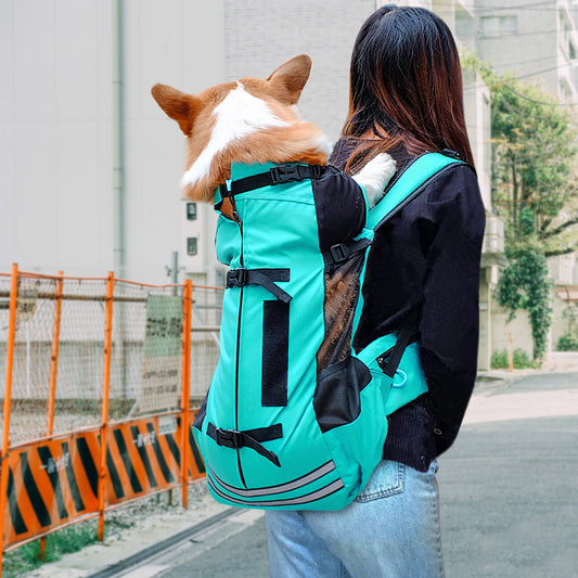 Dog Carrier - Great for small to medium dogs